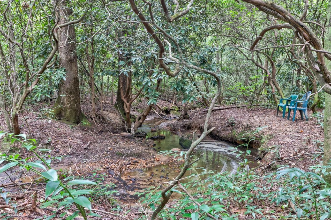 Four Cubs In The Creek Villa Sautee Nacoochee Eksteriør billede