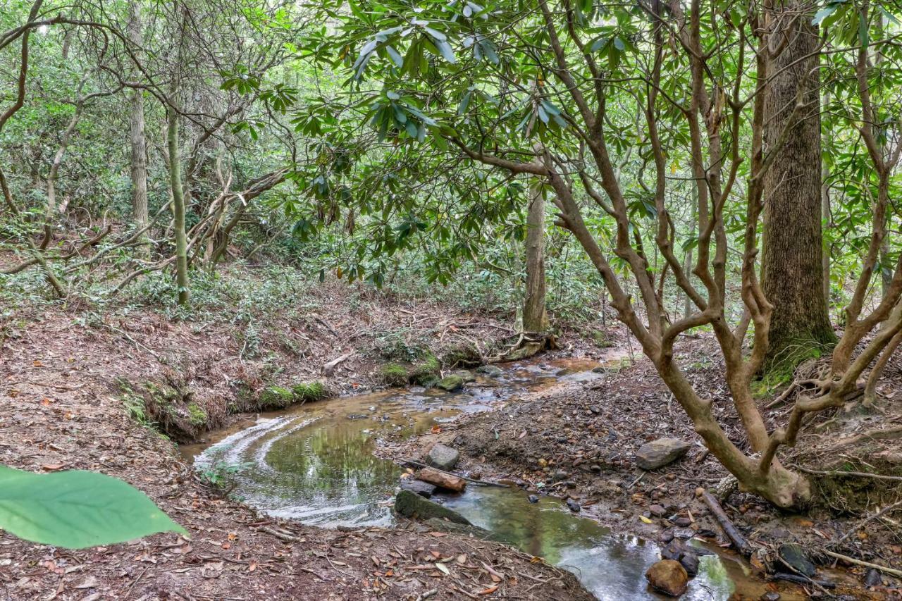 Four Cubs In The Creek Villa Sautee Nacoochee Eksteriør billede